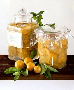 Eau%20de%20Vie%20de%20Mirabelle1.jpg
