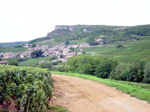 Pouilly-Fuiss, un vin de Bourgogne  dcouvrir 