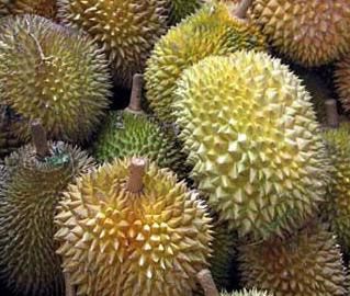 Le Durian 