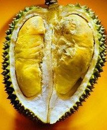 Le Durian 