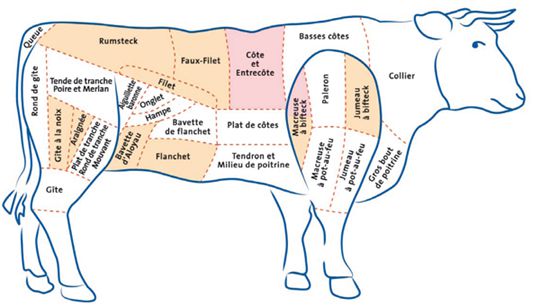 Les principales parties du boeuf 