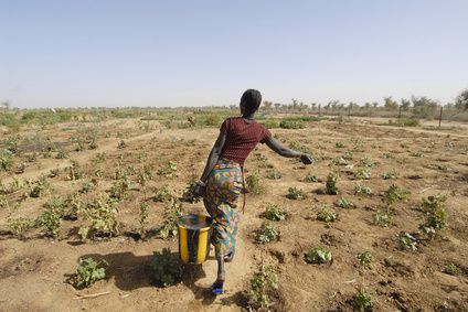 Les Pays-Bas, pays ou l'on mange le mieux au monde !  cronopio - Fotolia.com