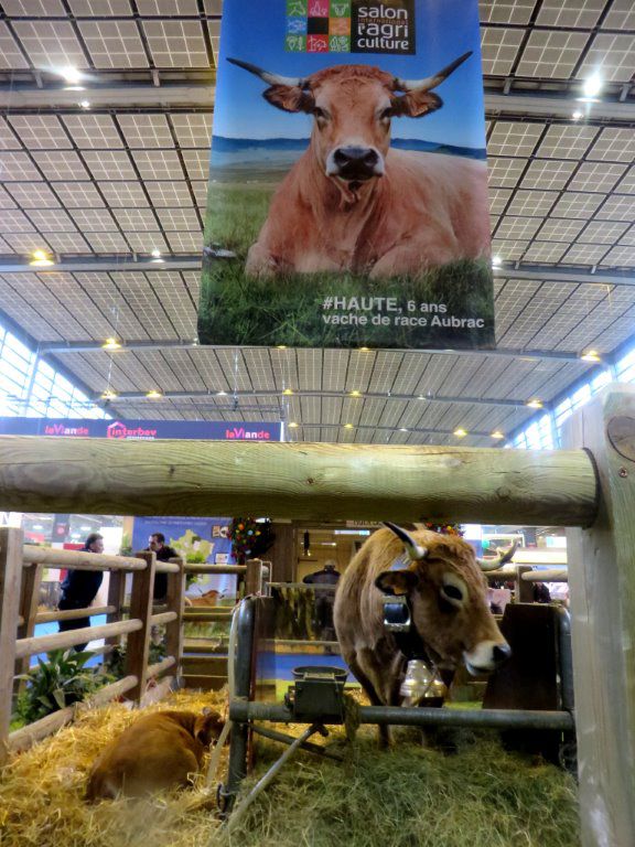 SALON DE L'AGRICULTURE 2018 Patrick.Asfaux@aftouch.fr