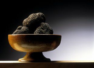 Histoire et recettes des truffes stockfood.fr