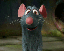 Ratatouille... le film et la recette ! 