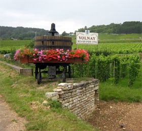 A few days in Burgundy Asfaux Patrick   A.F.Touch-cuisine