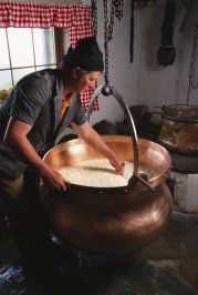 Les fromages du Nord 