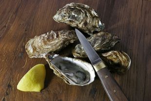 Opening oysters stockfood