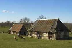 Produits de la ferme 