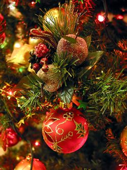 Festive Menu 2008 ©-Elenathewise---FOTOLIA Festive Menu 2008 ©-Elenathewise---FOTOLIA