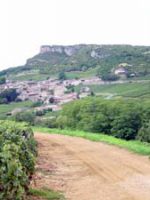 Pouilly-Fuiss, un vin de Bourgogne  dcouvrir