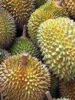 Le Durian