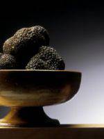 Histoire et recettes des truffes