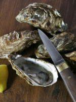 Opening oysters