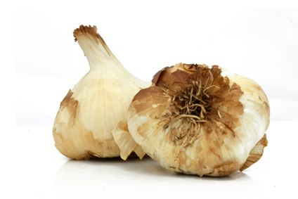 Smoked Garlic from Arleux