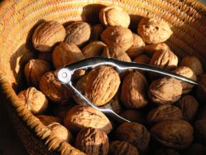 Grenoble Nut