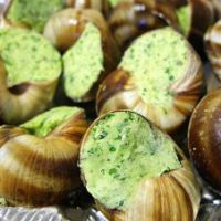 escargots de bourgogne