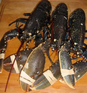 Lobster mousse, black Muscat cream