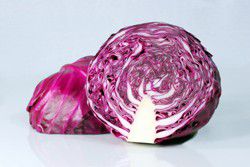 Red Cabbage Flemish style