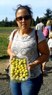 Mirabelle cake