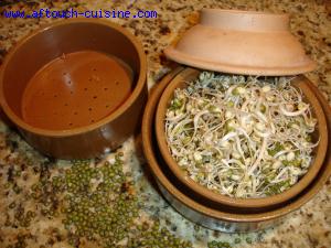 Faire germer des graines de soja