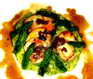 Coquilles St Jacques aux asperges pure de panais