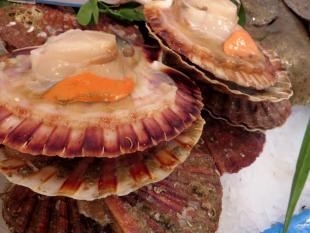 Coquilles St Jacques au houblon