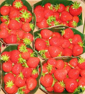 Le Gaspacho de fraises et poivrons rouges