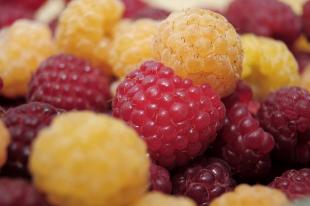 Salade de framboises