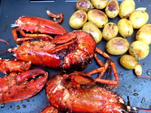  Petits homards bleus de casier planchs