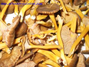 chanterelles grises sautes