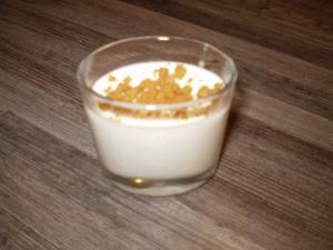 Panna cotta vanille spculoos