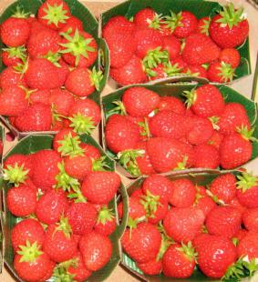 Strawberry sorbet