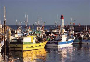 French recipe from Poitou-Charentes 